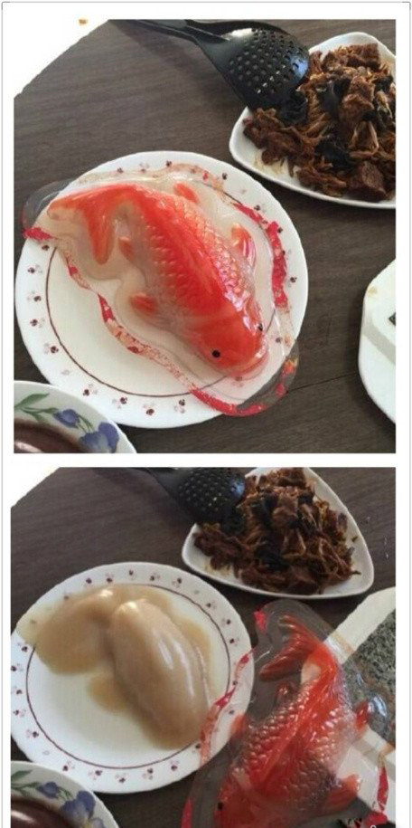 去超市买了个萌萌哒的鲤鱼年糕器物gif搞笑图片