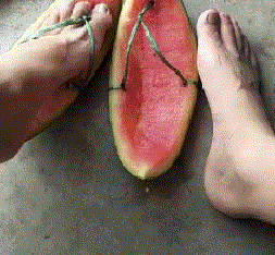 脚部护理鞋器物gif搞笑图片