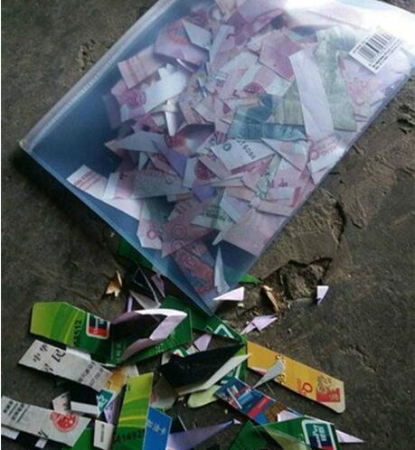 来自我家主子霸气的怒吼器物gif搞笑图片