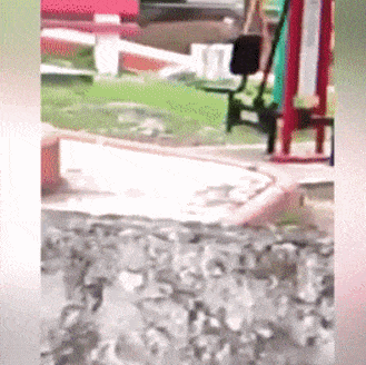 大中午的竟自己动了起来，我莫名感受到寒冷器物gif搞笑图片