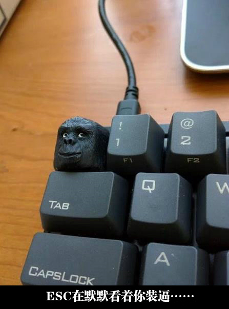 看你装逼看你飞器物gif搞笑图片