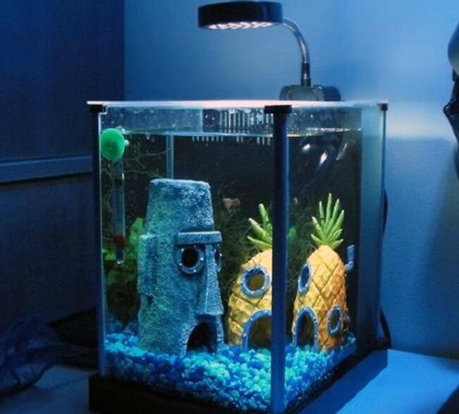 章鱼哥，一起去抓水母吧器物gif搞笑图片