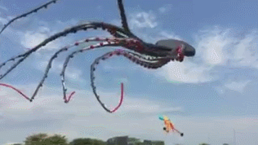 从未见过如此酷炫的风筝器物gif搞笑图片