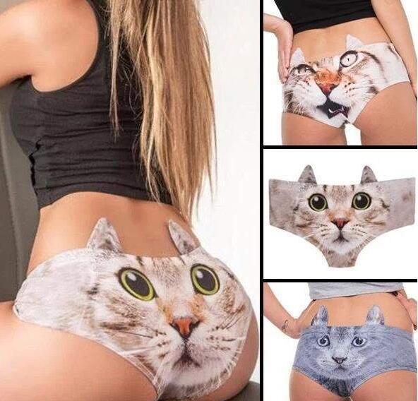 萌萌的猫咪内内器物gif搞笑图片