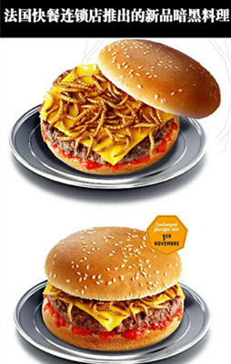 蛋白质超级丰富，比麦记的好吃多了器物gif搞笑图片