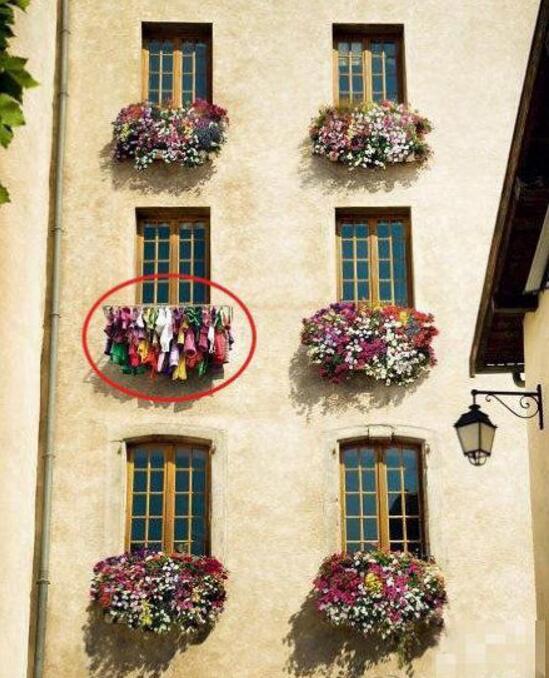 滥竽充数地毫无违和感器物gif搞笑图片