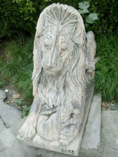 好悲哀的狮子器物gif搞笑图片