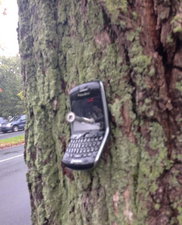 这样子失主来找手机的时候就可以一眼看到了。。。器物gif搞笑图片