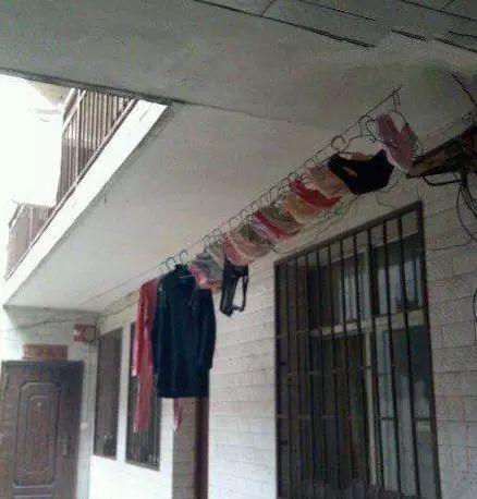 这内裤排场，一个月洗一次吗？器物gif搞笑图片