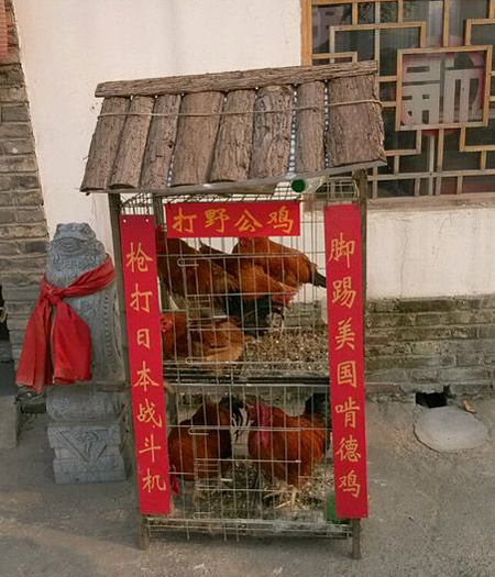 霸气的鸡笼对联器物gif搞笑图片