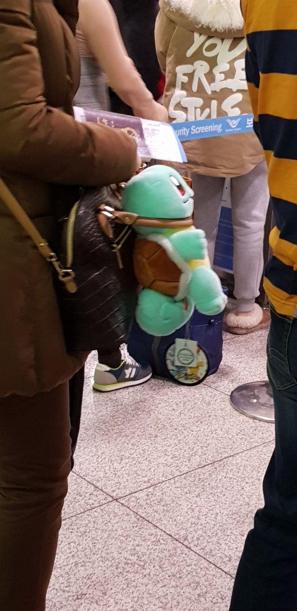 杰尼龟：我TM到底做错了什么？器物gif搞笑图片