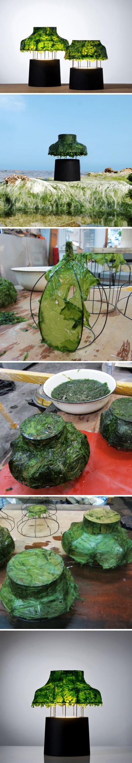 “海洋之光”系列台灯器物gif搞笑图片