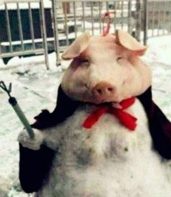 今天遇见大师级的了！其他雪人弱暴了！器物gif搞笑图片