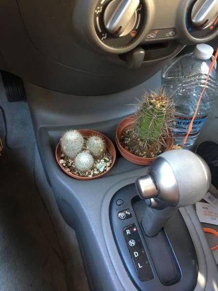 万一抓错了器物gif搞笑图片