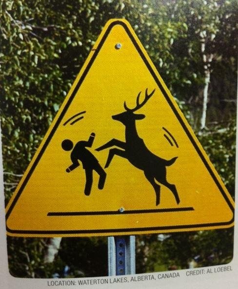 这个标志在提示什么？看不懂器物gif搞笑图片