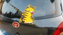 这小老虎的尾巴好风骚器物gif搞笑图片