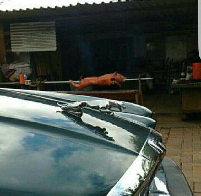 这两位是亲戚吧？器物gif搞笑图片