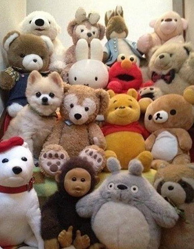 考眼力，发现亮点的点个赞吧器物gif搞笑图片