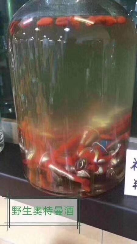 野生奥特曼酒器物gif搞笑图片