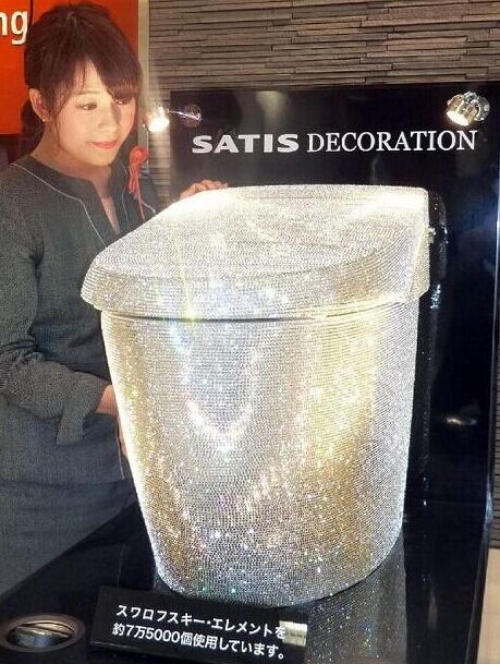 土豪专用的马桶是这样的器物gif搞笑图片