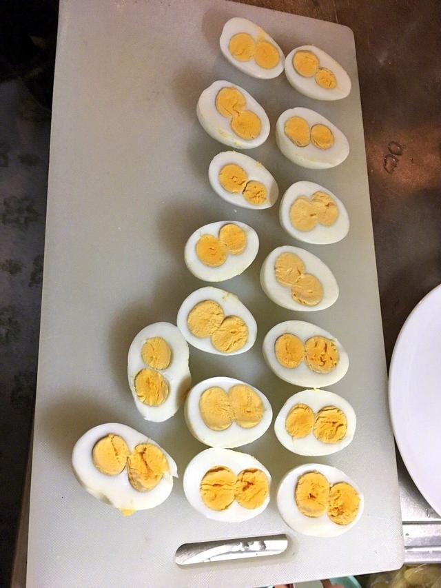 岛国一妹子在家煮蛋，切开一看一个连一个的双黄，切到后来已经彻底震惊了...祝看到的人都好事成双双喜临门成双成对暴富x2吧器物gif搞笑图片