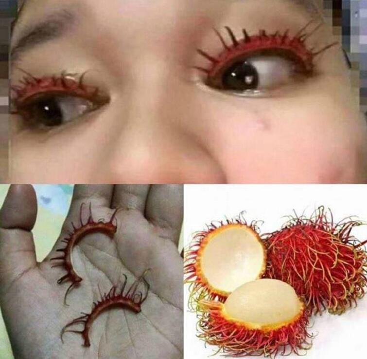 好棒的假睫毛器物gif搞笑图片