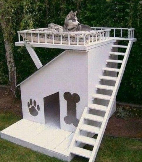 豪华狗窝器物gif搞笑图片