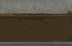 传说中的纳米材质器物gif搞笑图片