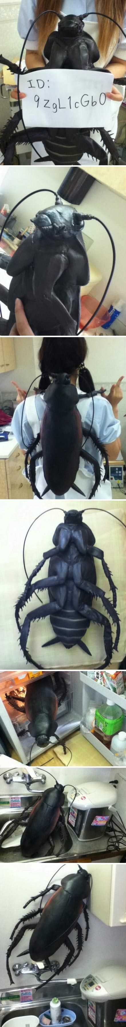 特别写实的蟑螂大布偶器物gif搞笑图片