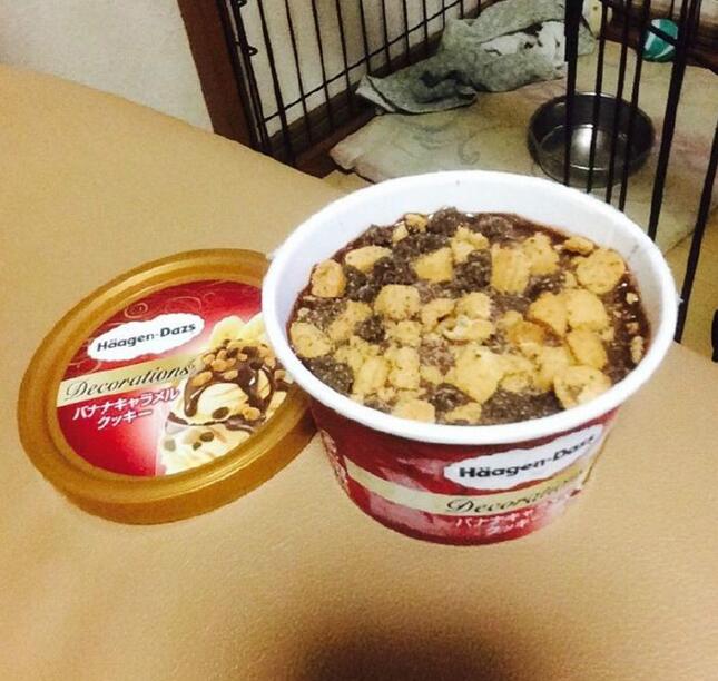 反正这款哈根达斯我怎么看都是麻婆豆腐器物gif搞笑图片