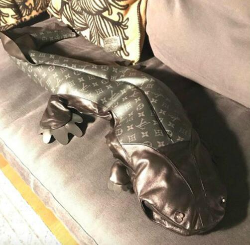 不是很懂你们LV器物gif搞笑图片