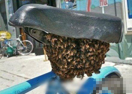 跟朋友借的自行车，吓屎我了器物gif搞笑图片