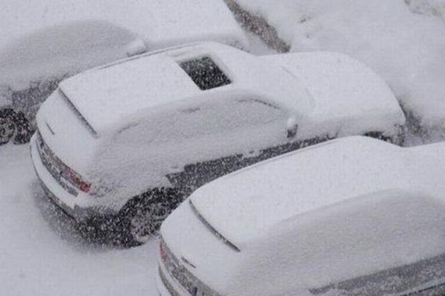 大雪纷飞的季节忘记关天窗可是会增加不少的工作量呀器物gif搞笑图片