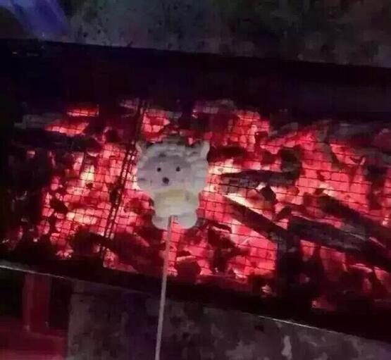 都躺床上了朋友打电话给我说请我吃烤全羊我以光速赶到现场我了个艹器物gif搞笑图片