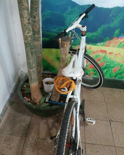 这样锁了有一个月了都没丢，有才器物gif搞笑图片