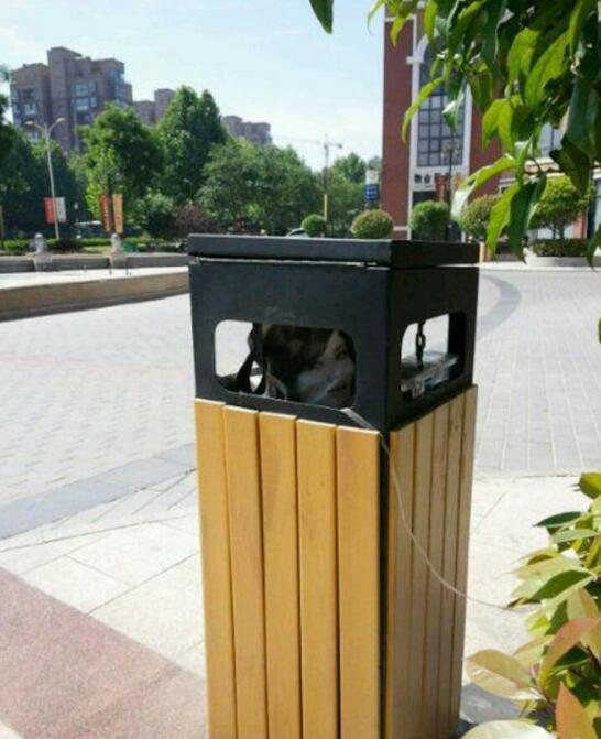 是谁乱扔垃圾的？吓我一跳～器物gif搞笑图片