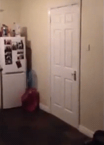 就是关门的时候声音有点大器物gif搞笑图片