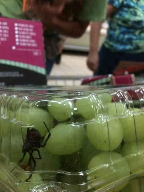 超市买的水果好像有加料器物gif搞笑图片