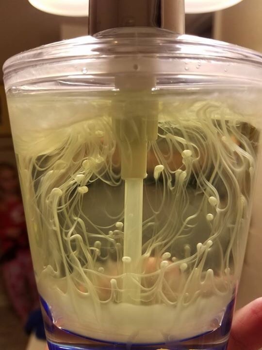 这瓶香水是用金针菇做的吗？器物gif搞笑图片