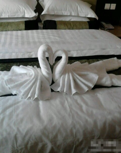 浴巾折的布鹤~器物gif搞笑图片