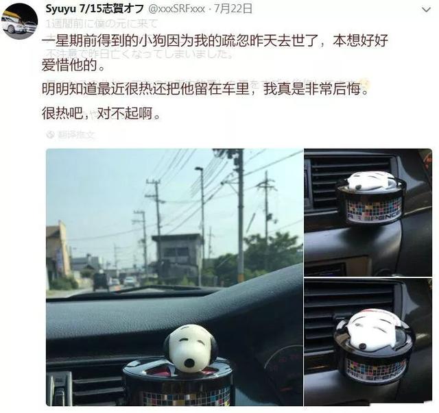 一只小狗活活晒死在车里器物gif搞笑图片