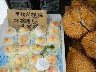 老板被逼的不行了器物gif搞笑图片