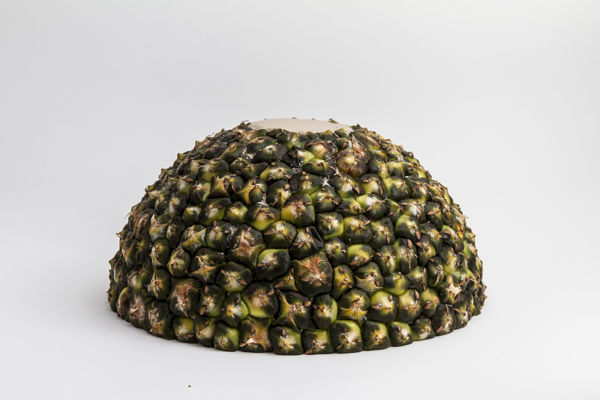 果皮也有大用途！果皮仿生制造的家居用品器物gif搞笑图片