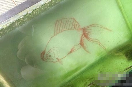 懒人的鱼缸器物gif搞笑图片