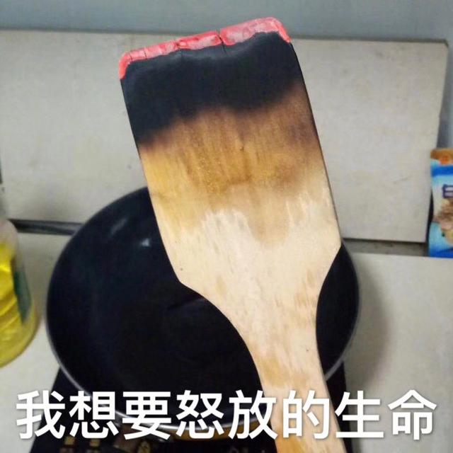 妹子第一次学做饭 ，把木铲当木柴烧了吧器物gif搞笑图片
