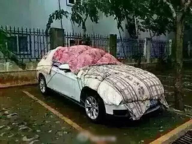 教你如何在台风天，保护自己的爱车，不被树砸的很难看器物gif搞笑图片