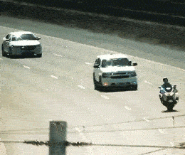 川普第一天上班器物gif搞笑图片