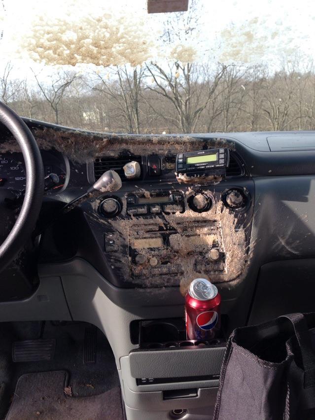 急刹车就这样了器物gif搞笑图片