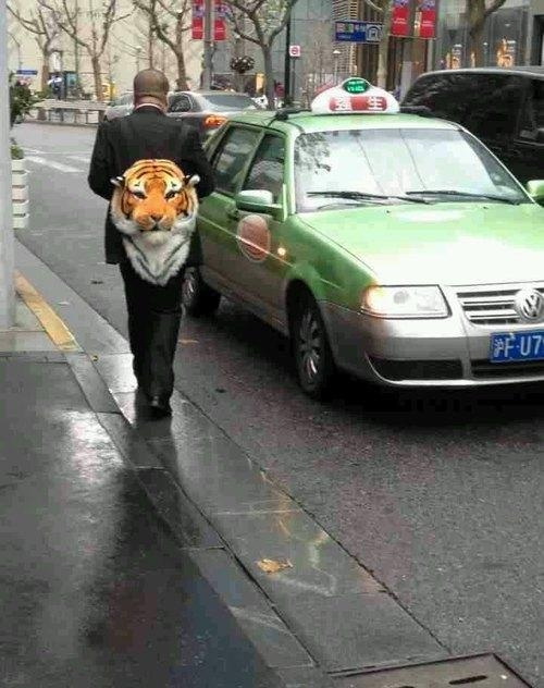 大哥你这包哪里买的？器物gif搞笑图片