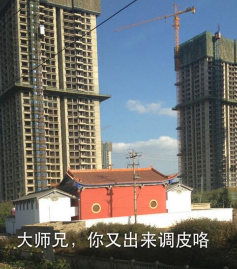 猴哥，又换地方儿了？器物gif搞笑图片